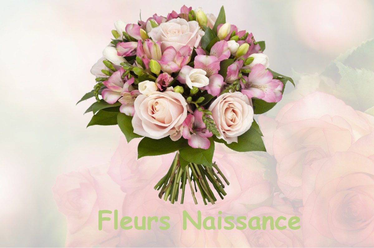 fleurs naissance BARBENTANE