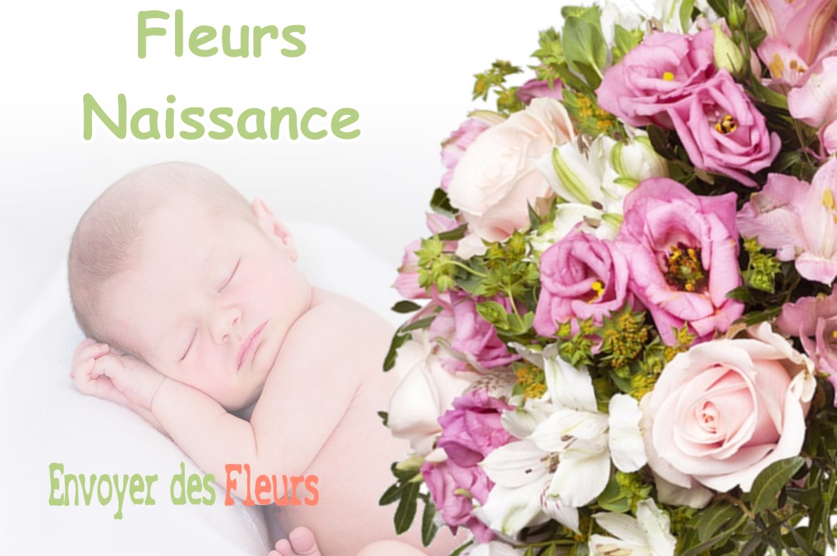 lIVRAISON FLEURS NAISSANCE à BARBENTANE